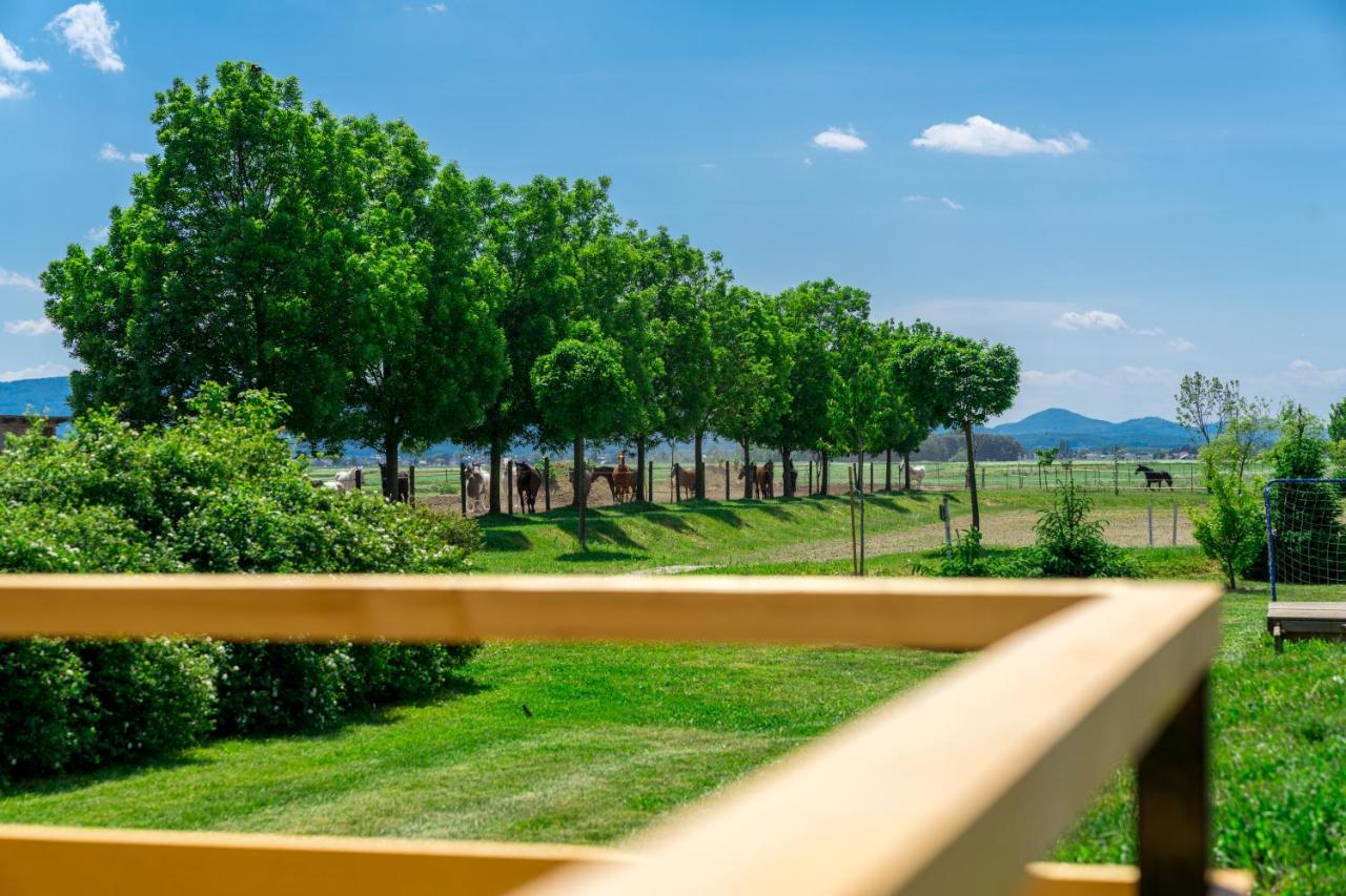 Hotel Horse Glamping Park à Cirkovce Extérieur photo