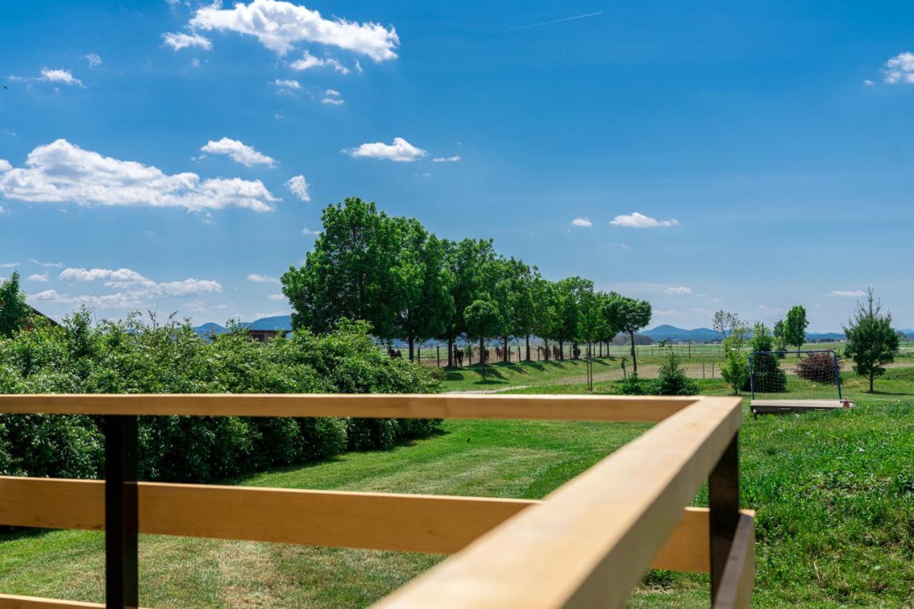Hotel Horse Glamping Park à Cirkovce Extérieur photo